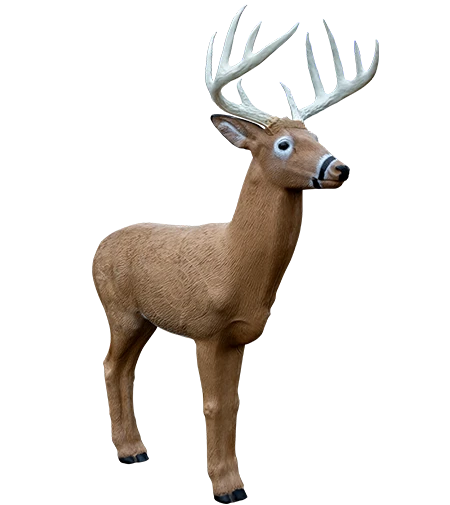 Rinehart® Midwest Buck Target – IBO