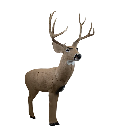Rinehart® Signature Mule Deer