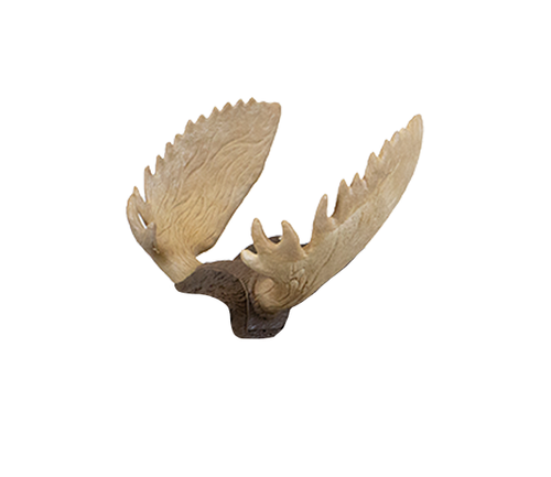 Rinehart® Signature Moose Antlers
