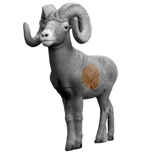 Rinehart 1/2 Scale Bighorn Sheep Insert
