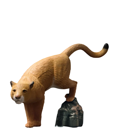 Rinehart Mountain Lion with Rock Target- IBO