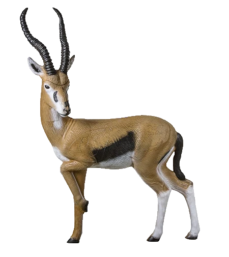 Rinehart Gazelle Target IBO