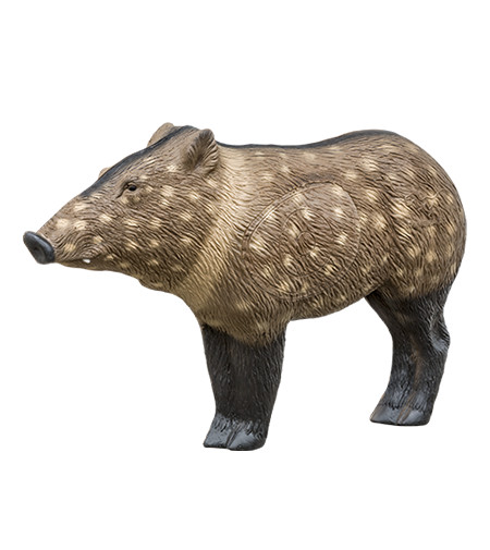 Woodland Javelina