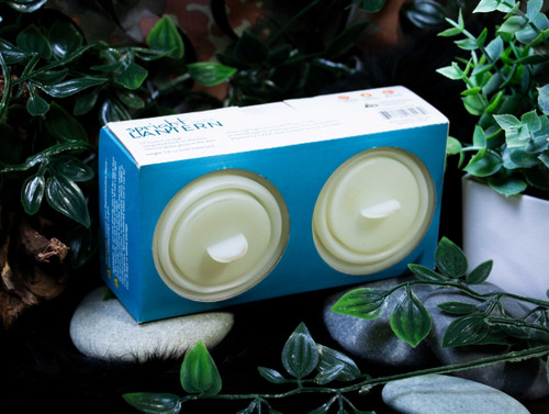 Spright 3AAA LED Lantern 2-pk.