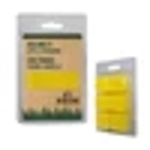 Wax Melt 2.5 Ounce - Apple Cinnamon