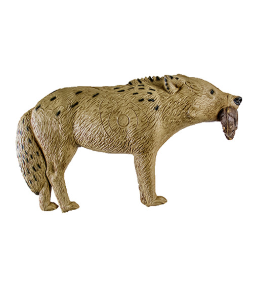 Signature Coyote