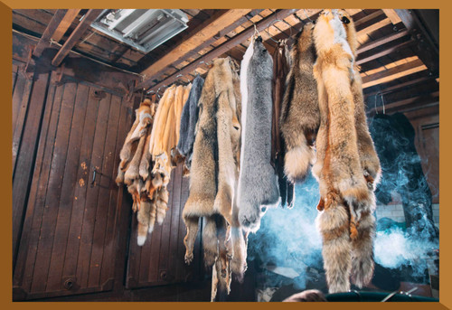 Game Processing & Handling