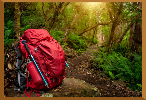 Packs & Bags