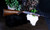 28GA SINGLE SHOT WOOD - 28 - 26"