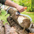 Log Hook (10")..