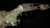 RX20 20GA Inertia-Driven Semi-Auto Shotgun – 26"
