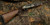 SWIFT Drake Semi-Auto Shotgun – 12GA – 28" – Walnut / OD Green