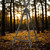 Vanguard Quest-T62-A Aluminum 3-in-1 Tripod, Bipod & Monopod with Detachable Arca V-Yoke