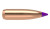 6mm 80gr Ballistic Tip (100 ct.)