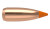 22 Cal 40gr Ballistic Tip (100 ct.)