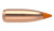 22 Cal 50gr Ballistic Tip (100 ct.)