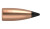 22 Cal 40gr Varmageddon FB Tipped (100 ct)