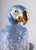 LLADRO -  Macaw Bird Vase 