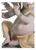 Lladro - BANSURI GANESHA