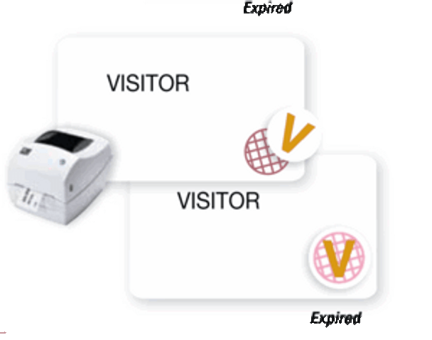 Brady T6132 Available timespot Designs - Yellow "V" Expiring Badge