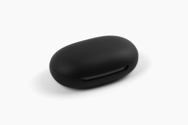 Black Mini 2 charging case