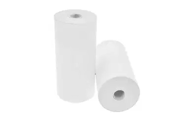 Blue Bamboo P10 Coreless Thermal Paper Rolls