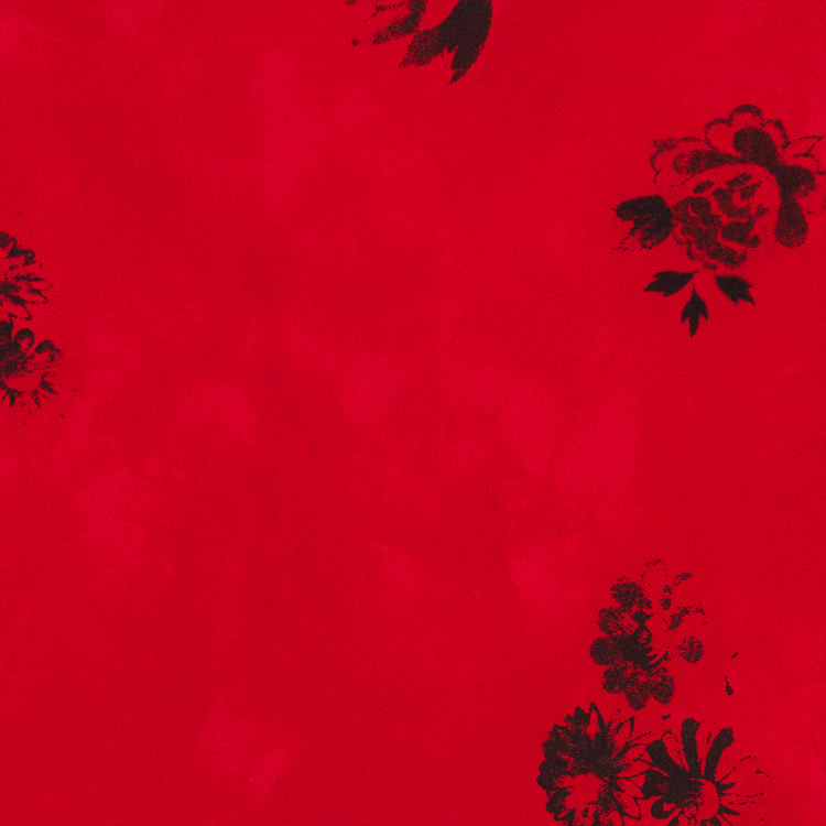 The Sofia - Passion The Sofia - Passion