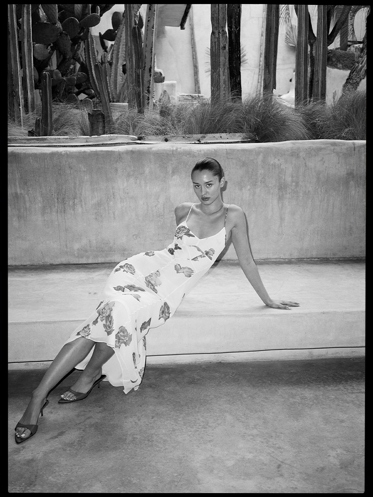 The Eugenie - Tuscan Rose