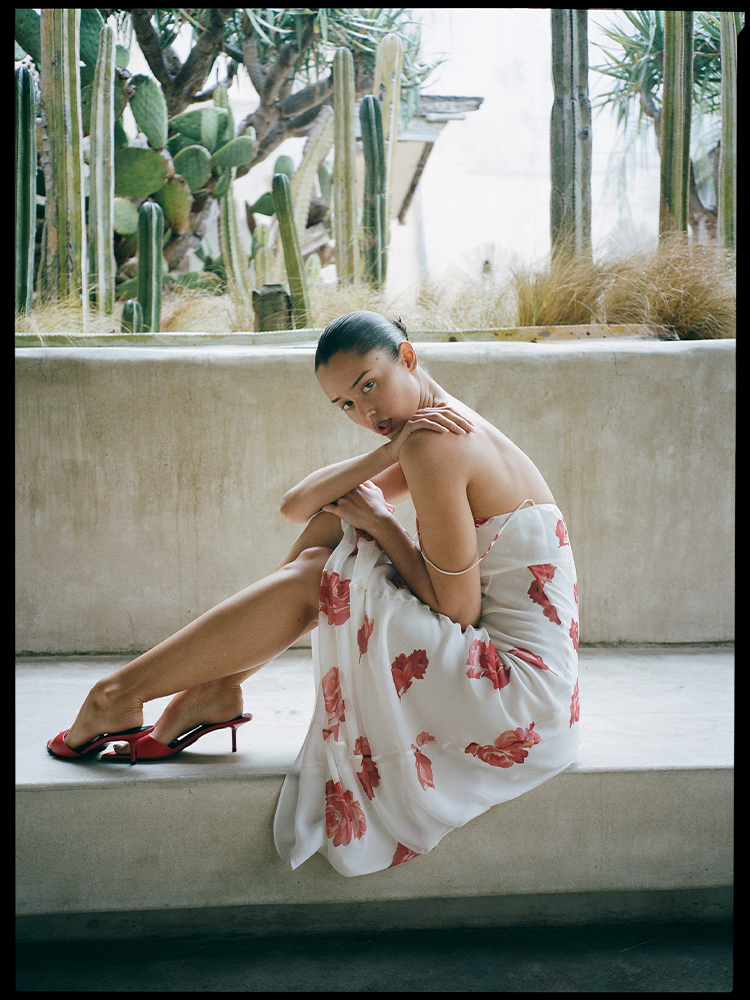 The Eugenie - Tuscan Rose