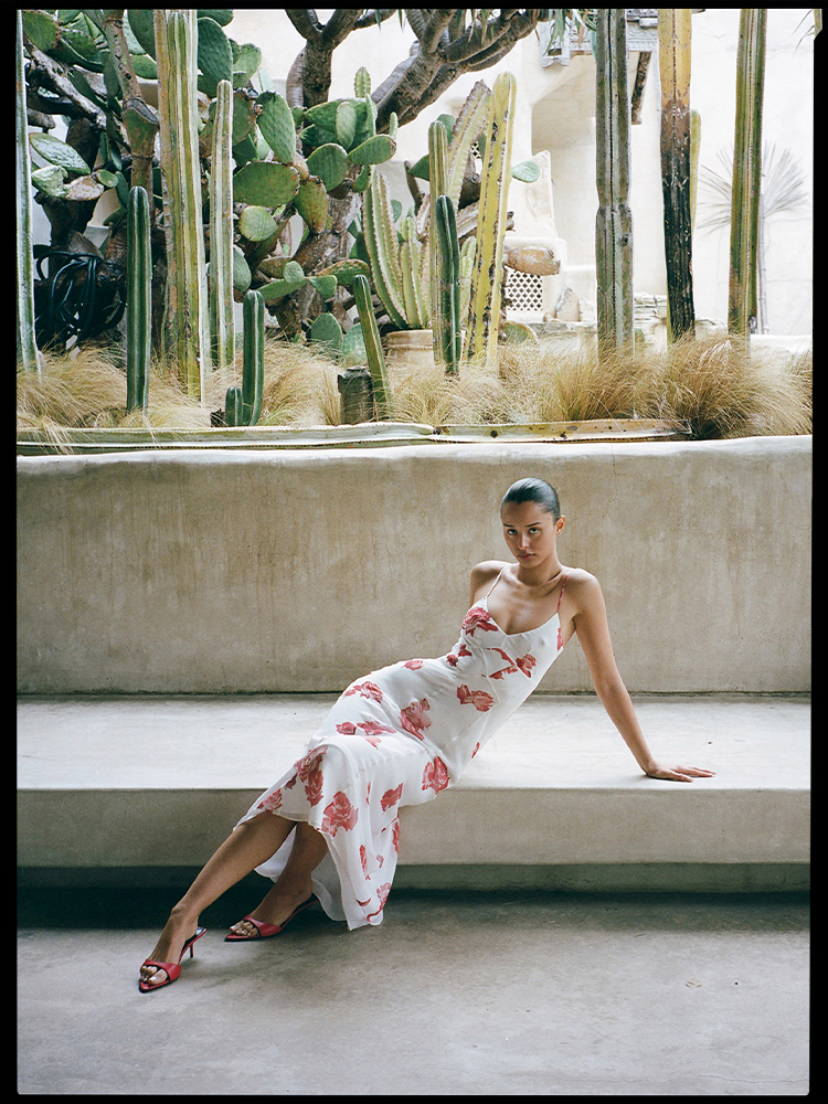 The Eugenie - Tuscan Rose