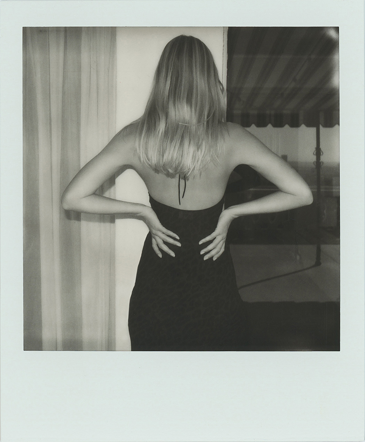 The Electra - Jungle