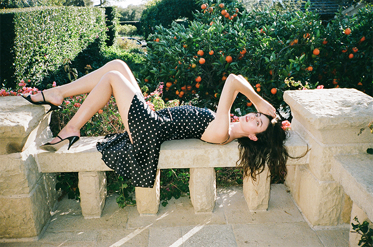 The Cassidy - Satin Spot