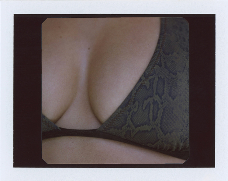The Frank Top - Python/Animal The Frank Top - Python/Animal