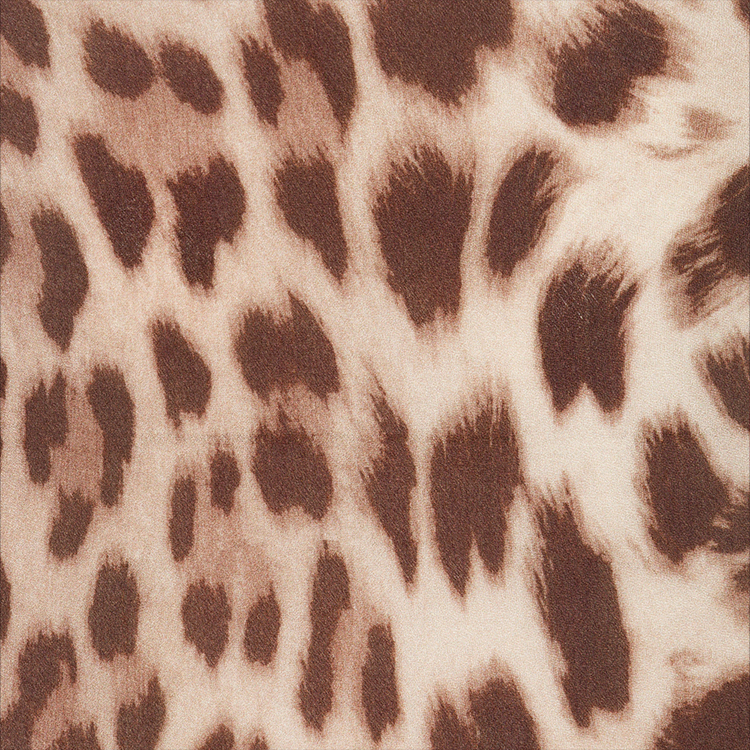 COMING SOON<br>The Romy - Wild