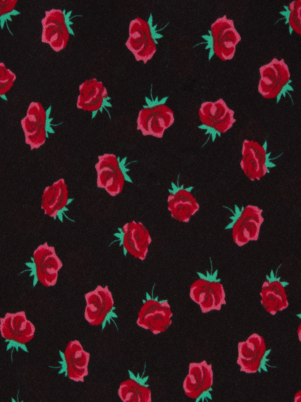 The Isabelli - Rosalita