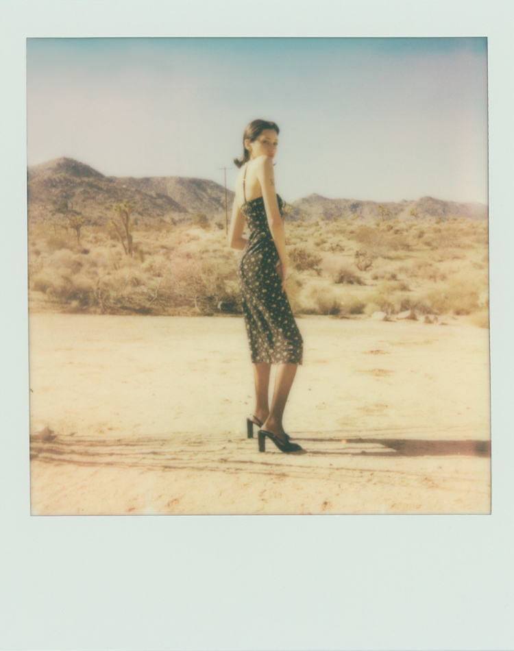 The Iris - Florence The Iris - Florence