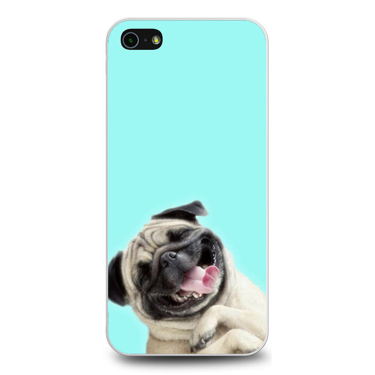 Pug Laughing iPhone 5/5S/SE Case