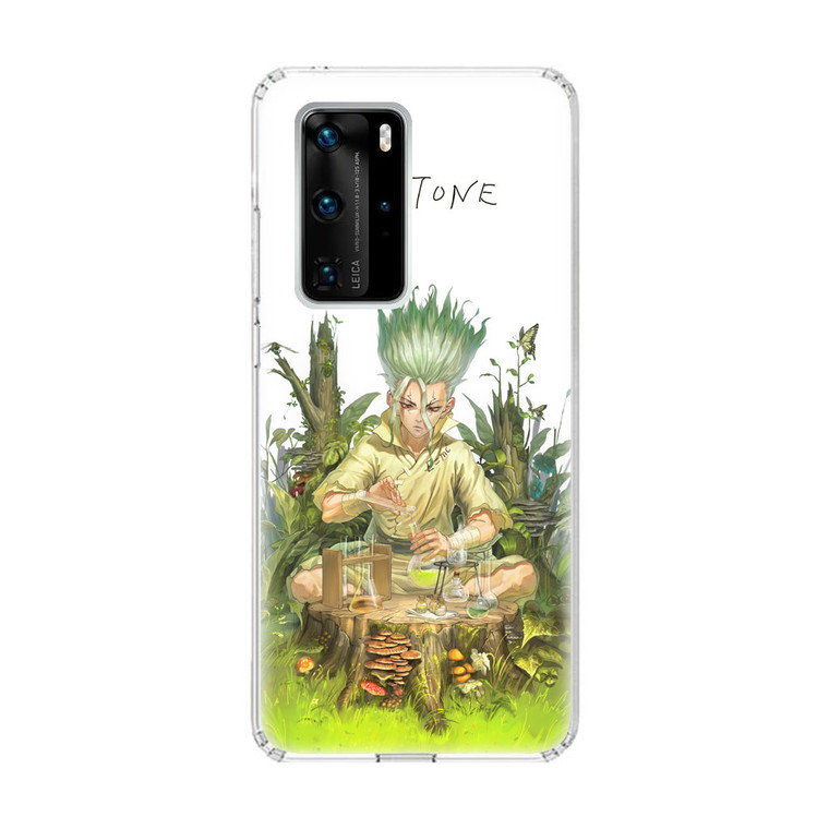 Ishigami Senku Dr Stone Huawei P40 Pro Case