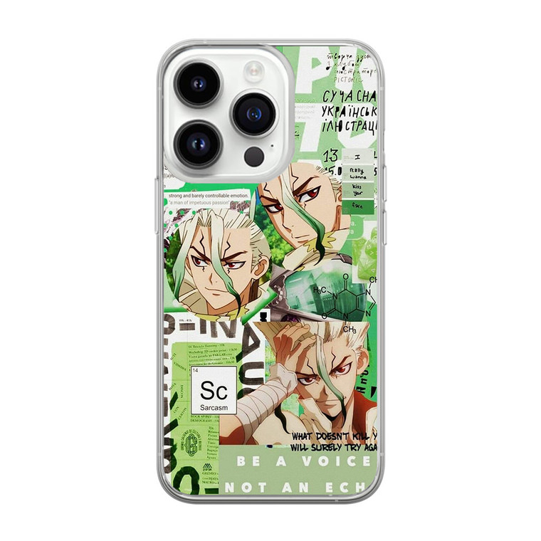 Dr Stone Ishigami iPhone 14 Pro Max Case