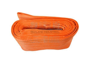 Orange 12 Tonne 10 Meter Webbing Sling