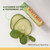 Burt's Bee Cucumber Mint Moisturizing Lip Balm 0.15oz/4.25g