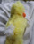 Stuffed Animal FLUFFY DUCK WRAP 3+ 5.5 inches  14 cm Happy