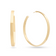 14K yellow gold vanity hollow hoops