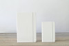 White Blank Moleskine Notebooks