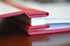 Post-bound Photo Album - Post-binding allows for easy addition and removal of pages - by Blue Sky Papers