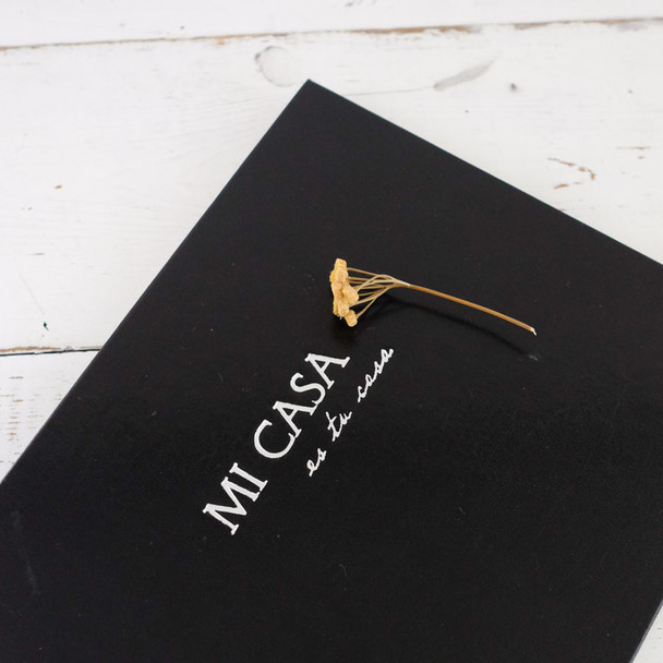 Mi Casa Home Guest Book by Blue Sky Papers