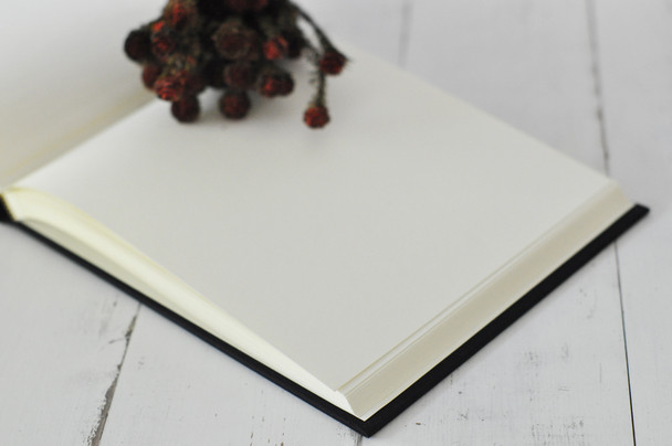 Classic, Archival Photo Album- Heavy, archival paper pages- by Blue Sky Papers Classic, Archival Photo Album- Heavy, archival paper pages- by Blue Sky Papers