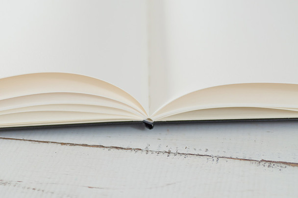 Moleskine Watercolor Sketchbook from Blue Sky Papers - water color grade paper