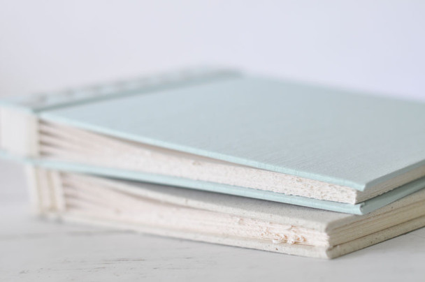 Fresh Ribbon Bound Photo Album- Deckle edge ivory paper- from Blue Sky Papers
