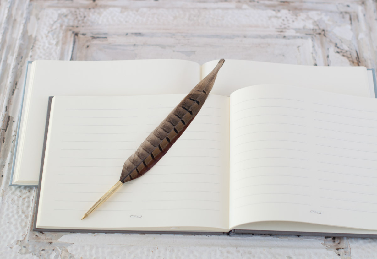 Lined and Blank Page Guest Books - Blue Sky Papers